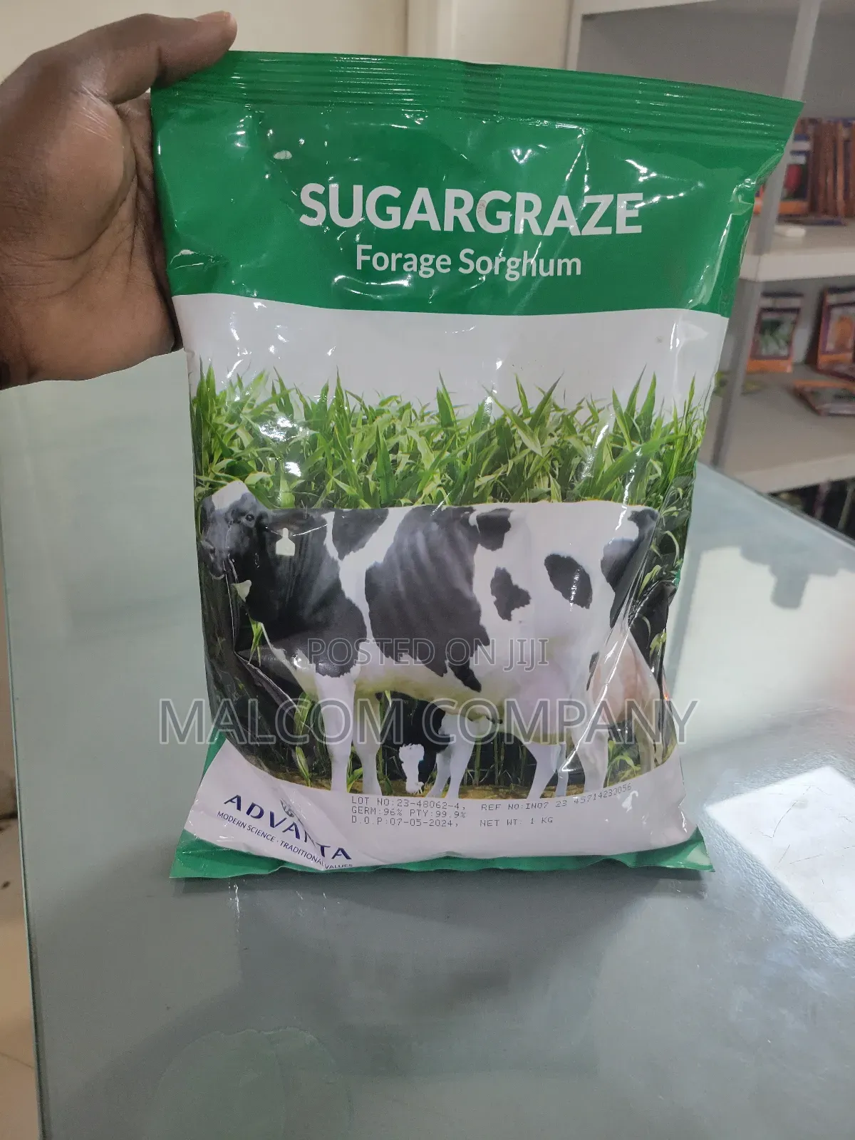 Cattle Grass Seeds 1kg