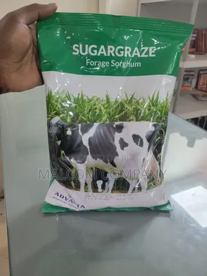 Cattle Grass Seeds 1kg