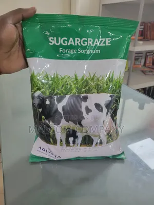 Cattle Grass Seeds 1kg