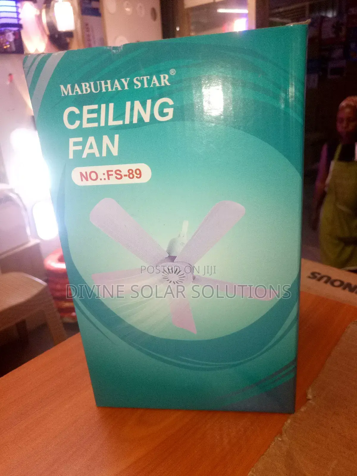 Portable Ceiling Fan
