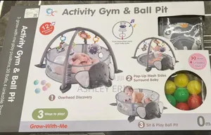 Activity Gym and Ball Pit