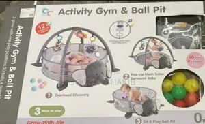 Luxurious Baby Activity Gym Ball Pit