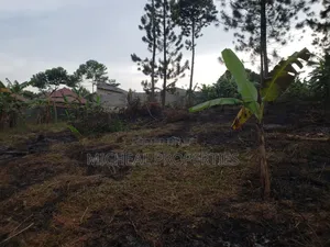 Plot for Sell 100ft by 100ft Kitetika at 120m