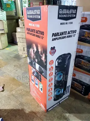 Rechargeable Speaker of 12 Inches of 2 Microphones(Bis Size)