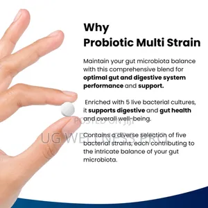 Probiotic Multi Strain High Strength Supplement Tablets