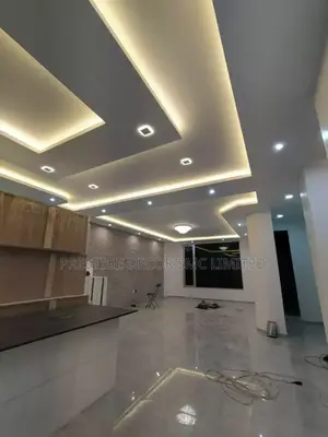Ceiling Work 2025
