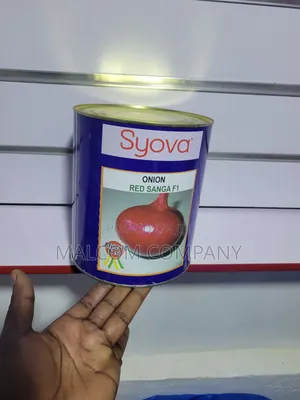 Onion Seeds Red Sanga F1 1kg