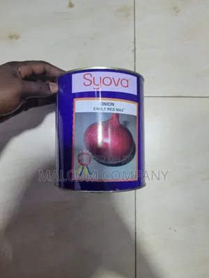 Early Red Max Onion Seeds 1kg