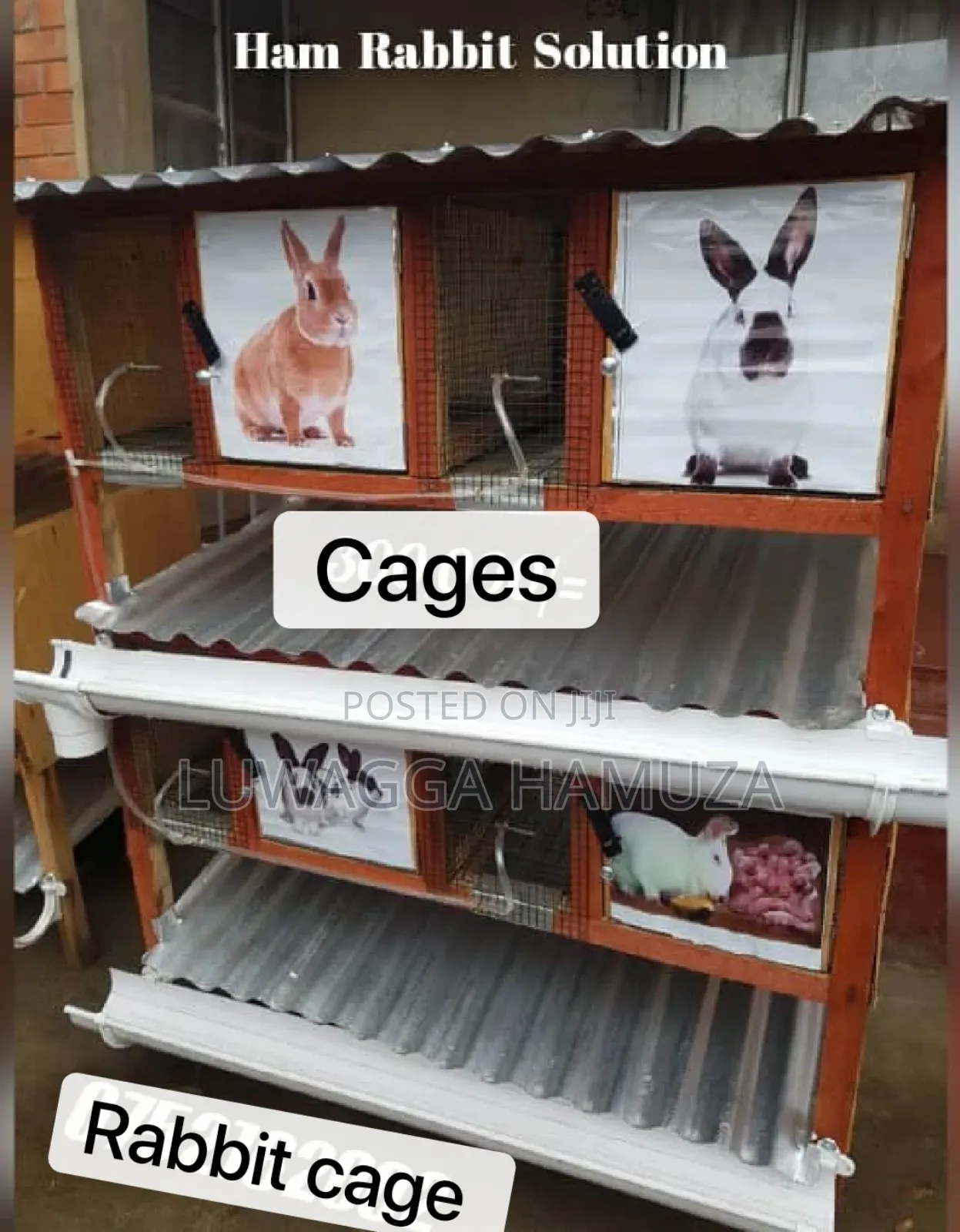 Rabbit Cages