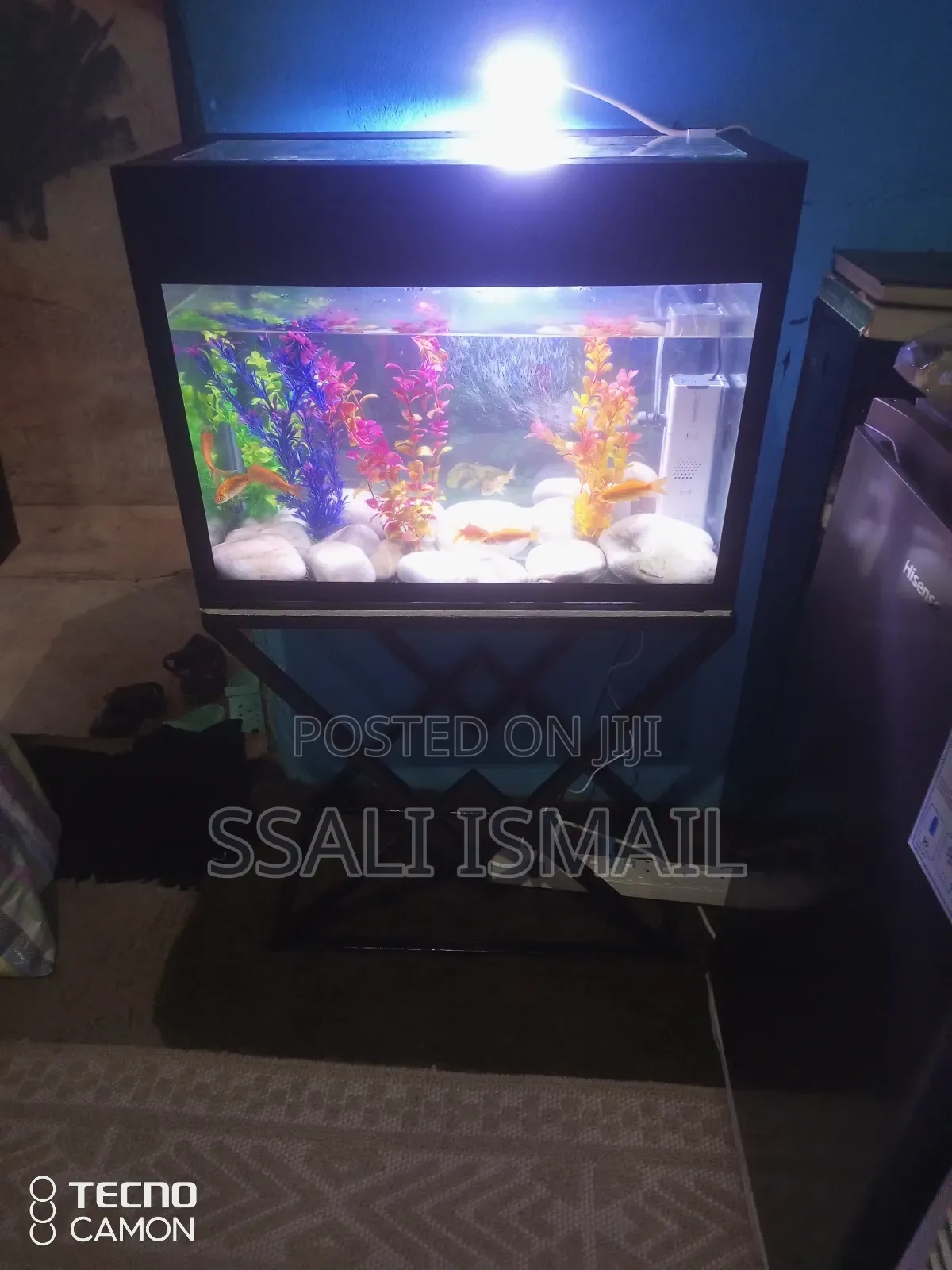 Medium Size Well Designed Aquarium.