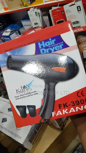 Professional Hair Dryer