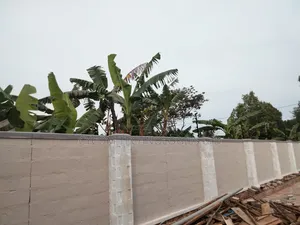 Electric Fence on 50*100 Perimeter Wall