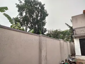 Electric Fence on 50*100 Perimeter Wall