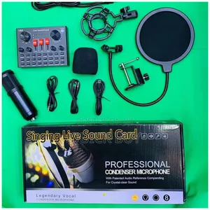 New Professional Singing Live Sound Card