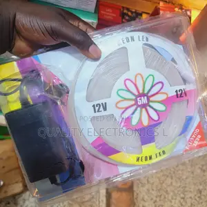 Neon Flexible Strip Light