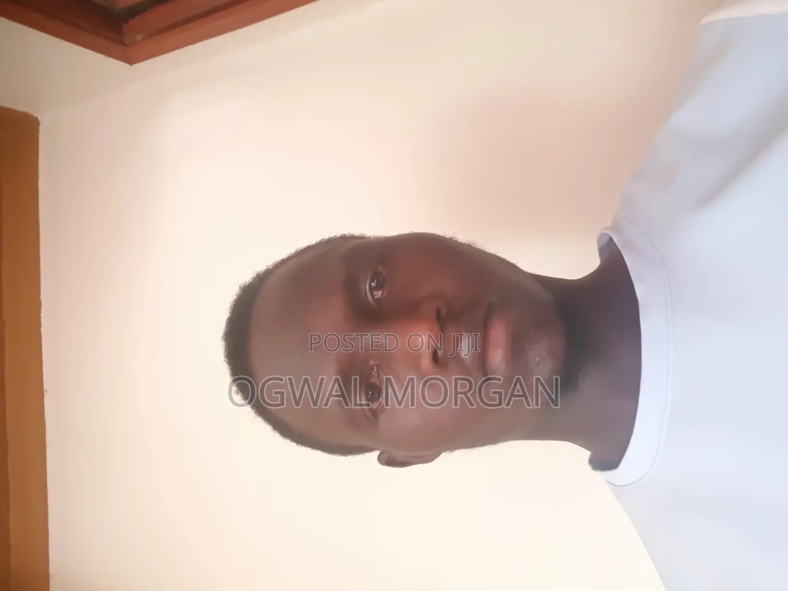 Sales Agent