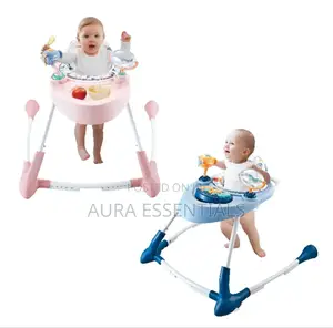 Step Into Fun 2 in 1 Baby Walker