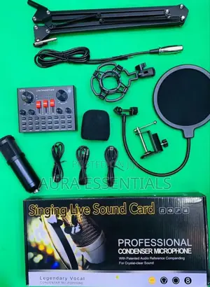 Music Recording Personal Condenser Microphone