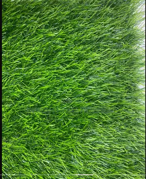Real Green Grass Carpet Per Square Meter