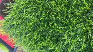 Real Green Grass Carpet Per Square Meter