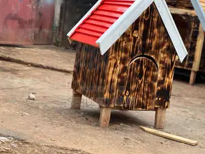 Star Maltese Puppies House