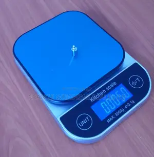Portable Mini Scales Rdl215