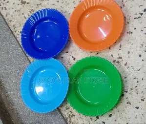 Everyday Plastic Plates 12pcs