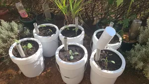 Self Watering Pots