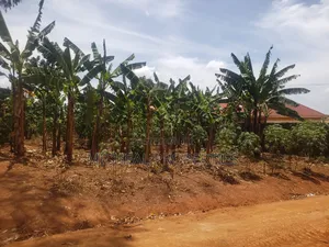 Plot for Sell Mpelerwe Kitagobwa at 35m