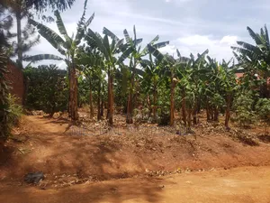 Plot for Sell Mpelerwe Kitagobwa at 35m