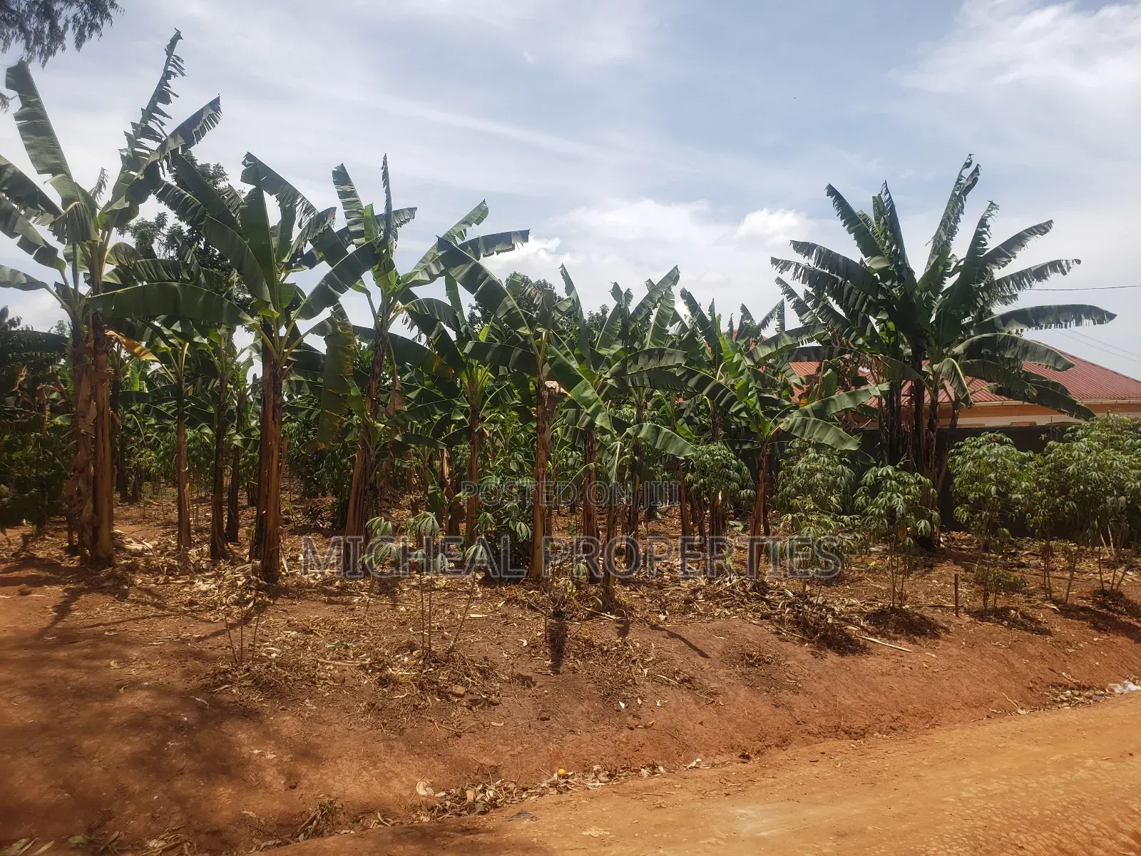 Plot for Sell Mpelerwe Kitagobwa at 35m