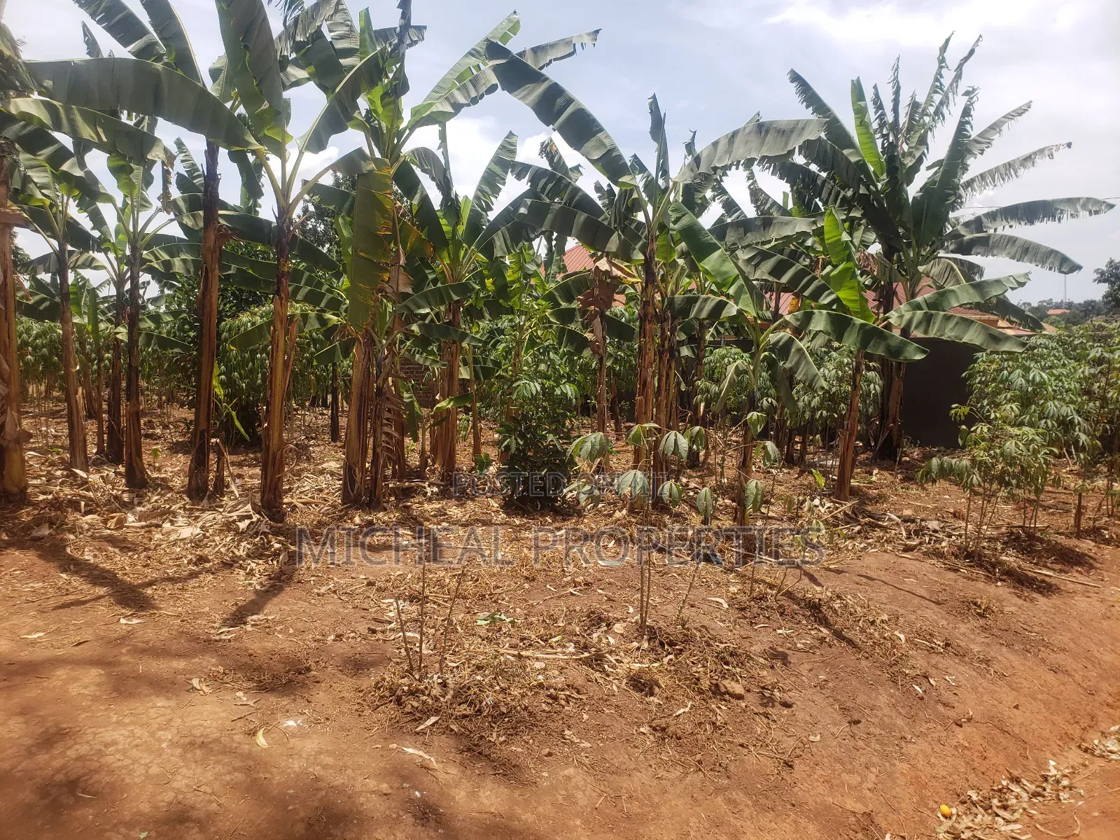 Plot for Sell Mpelerwe Kitagobwa at 35m