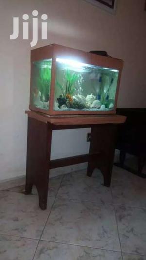 Aquarium