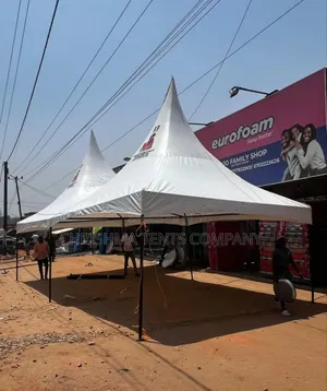 Canopy Tent Comfortably Holds 100 People Without Overcrowding
