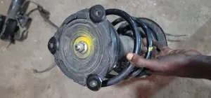 Nissan Teana and Murano Front Shock Absorber