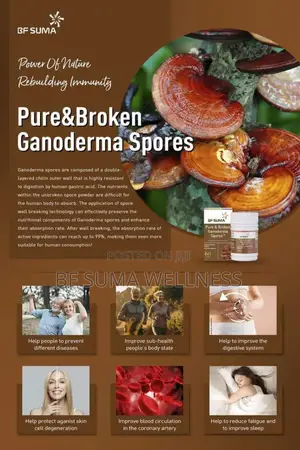 Pure and Broken Garnoderma Spore (60 Capsules)