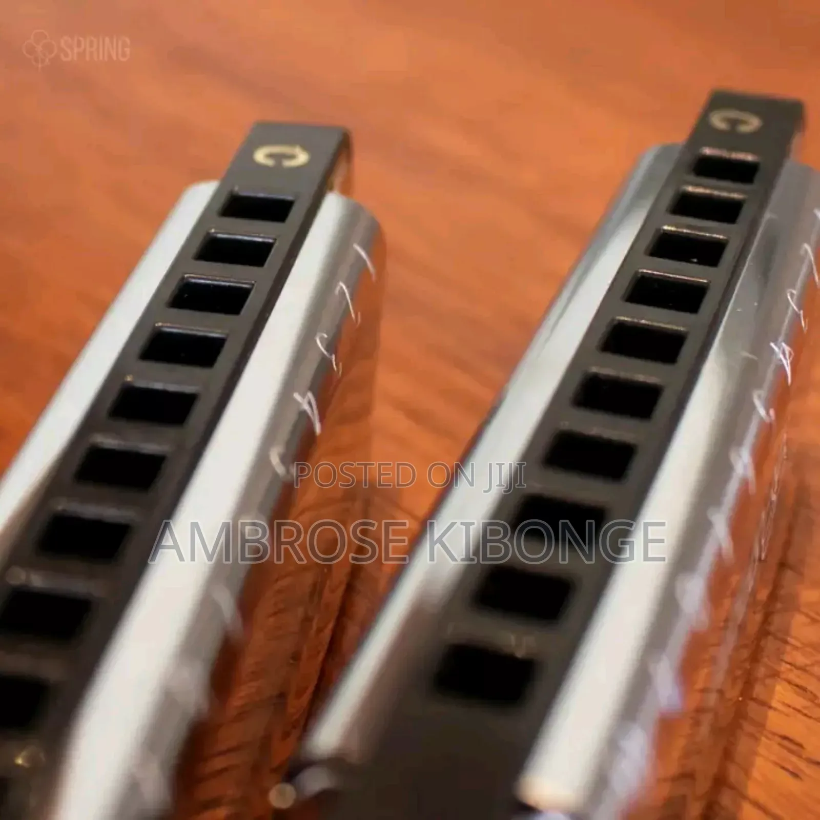 Original Professional Harmonica and Case Clear Sound Quality