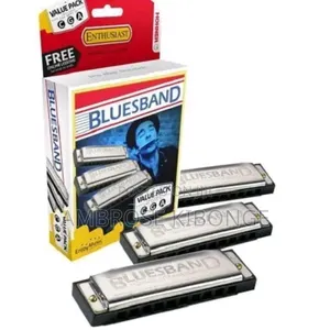 Original Professional Harmonica and Case Clear Sound Quality