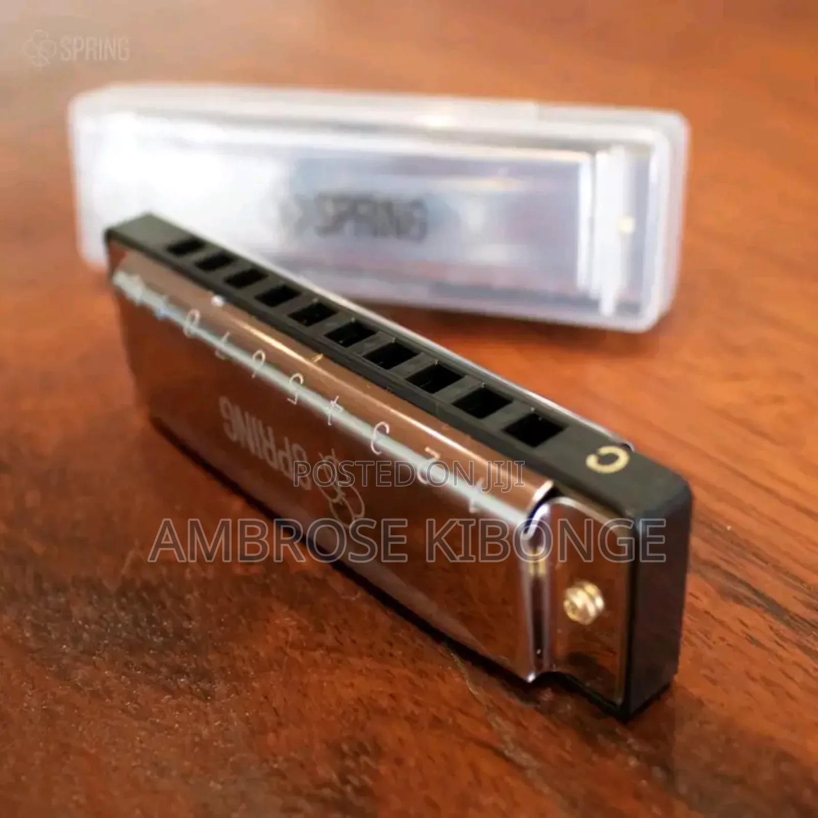Original Professional Harmonica and Case Clear Sound Quality