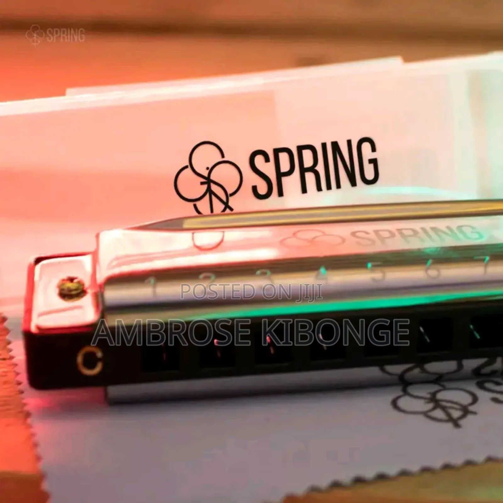 Original Professional Harmonica and Case Clear Sound Quality