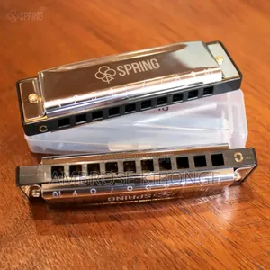 Original Professional Harmonica and Case Clear Sound Quality