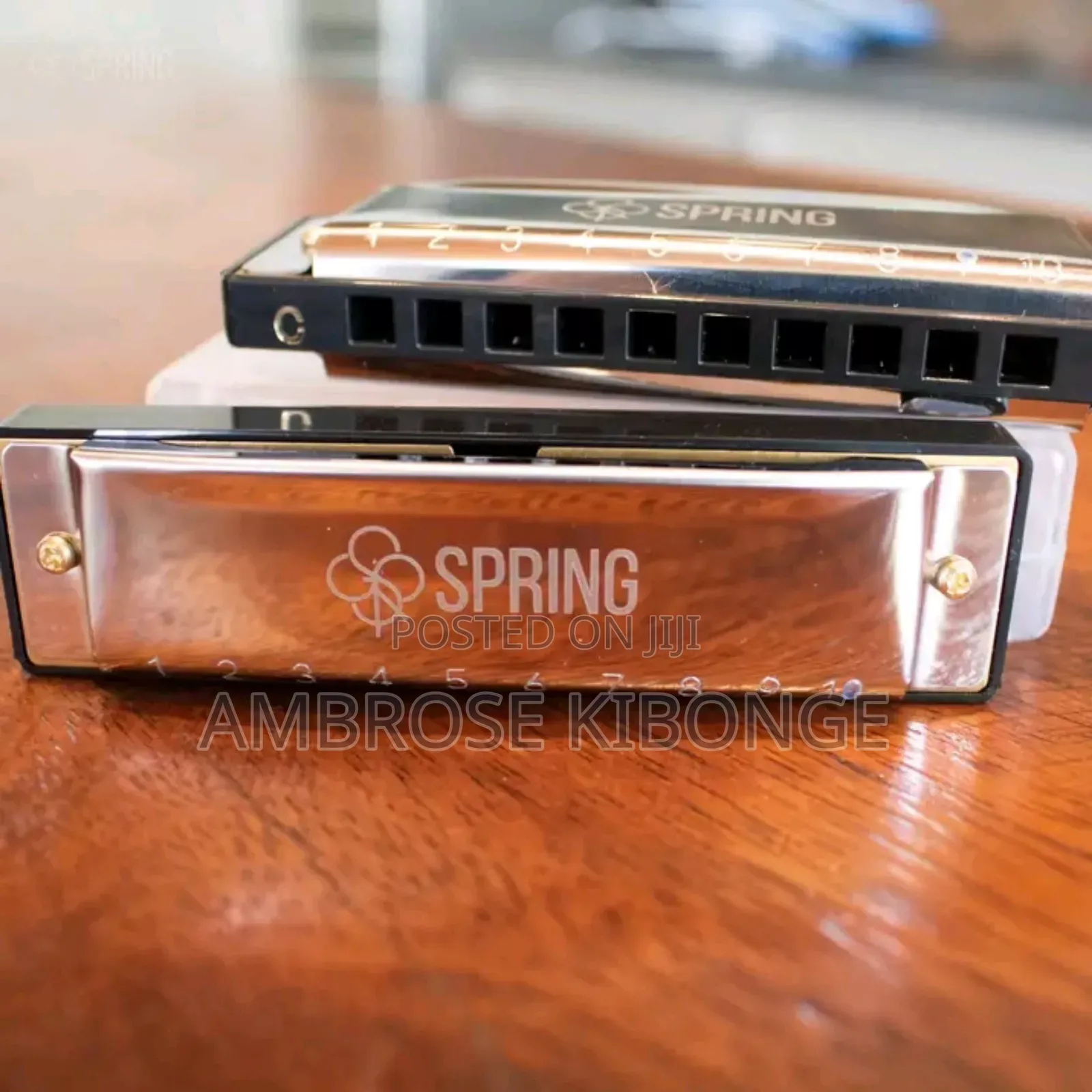 Original Professional Harmonica and Case Clear Sound Quality