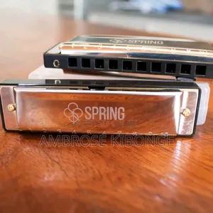 Original Professional Harmonica and Case Clear Sound Quality