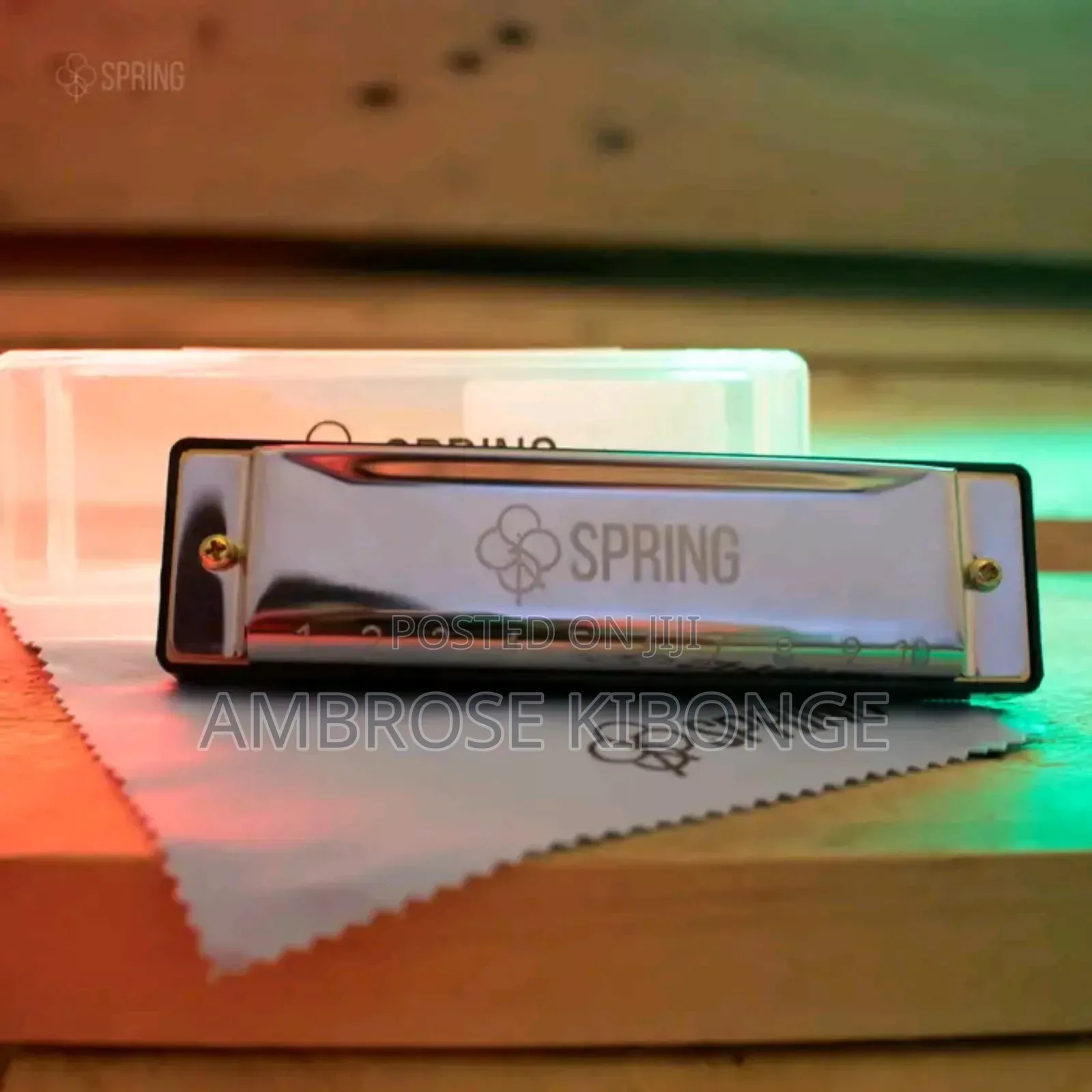 Original Professional Harmonica and Case Clear Sound Quality