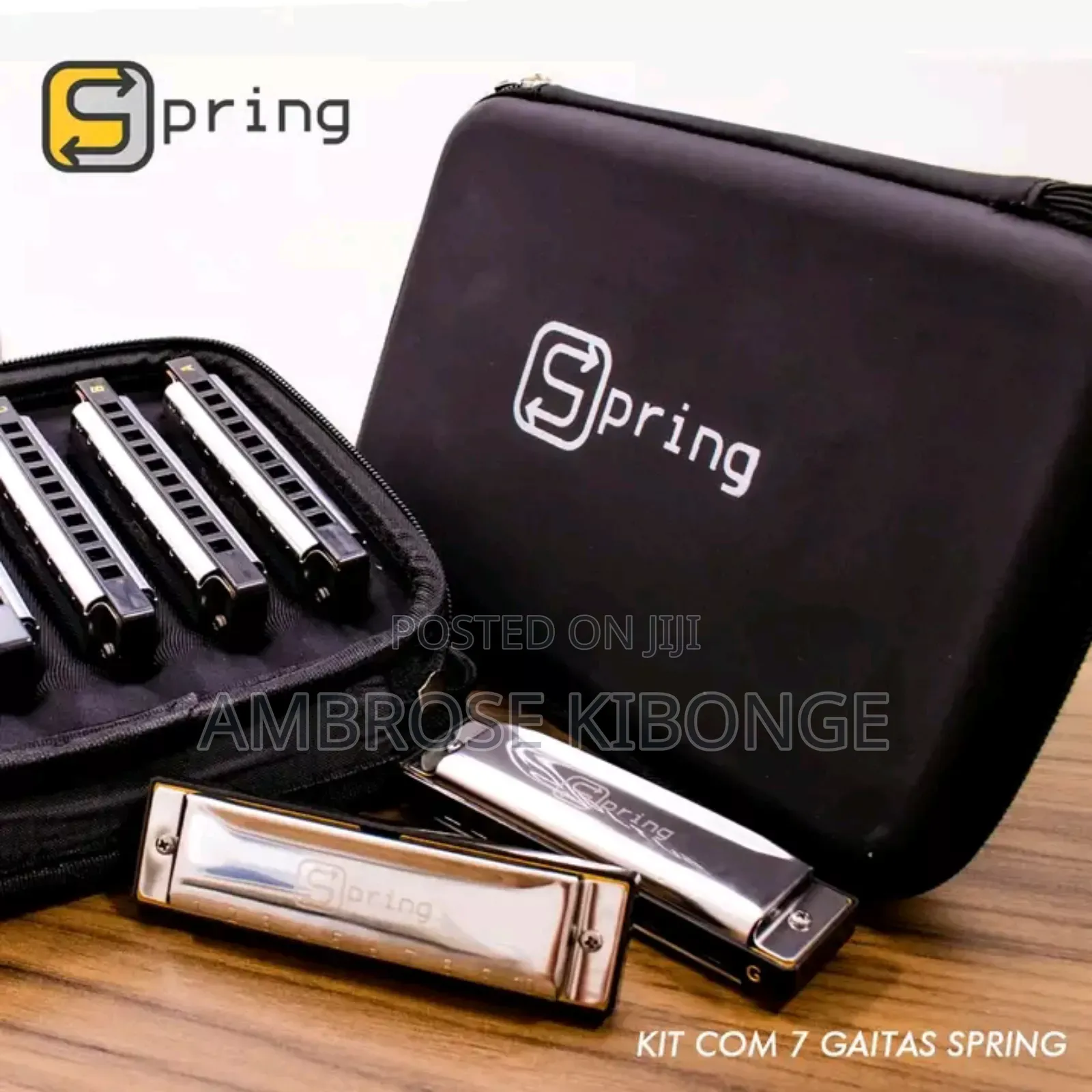 Original Professional Harmonica and Case Clear Sound Quality