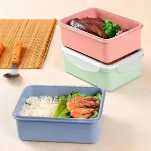 Plastic Lunch Boxes Fridge Food Container Colorful