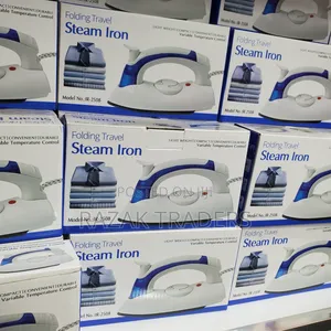 Electric Steam Iron