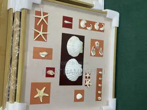 Cowrie Shells Wall Home Decor