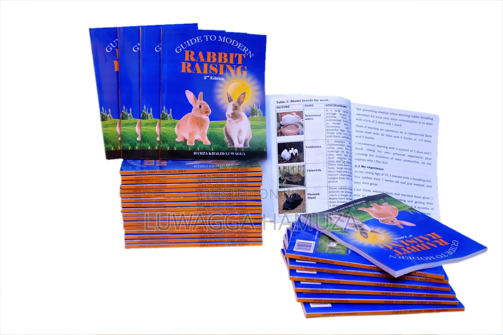 Rabbit Books