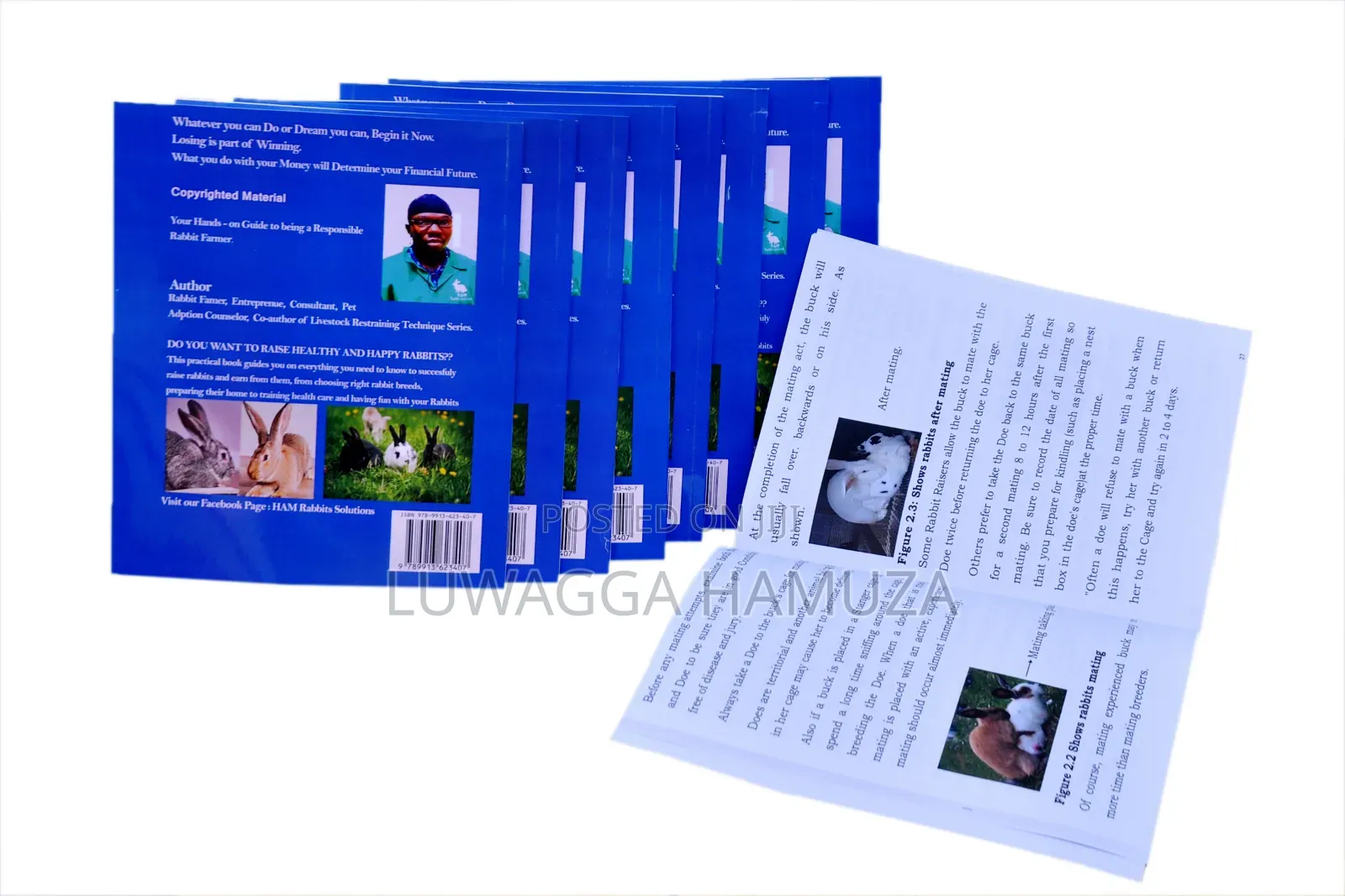 Rabbit Books